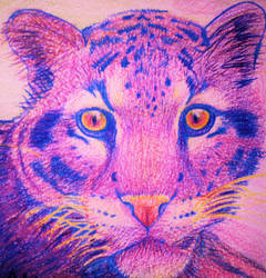 Color Leopard