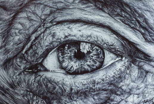 Eye Drawing