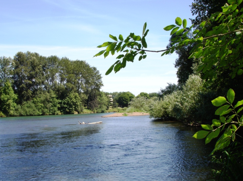 Willamette River