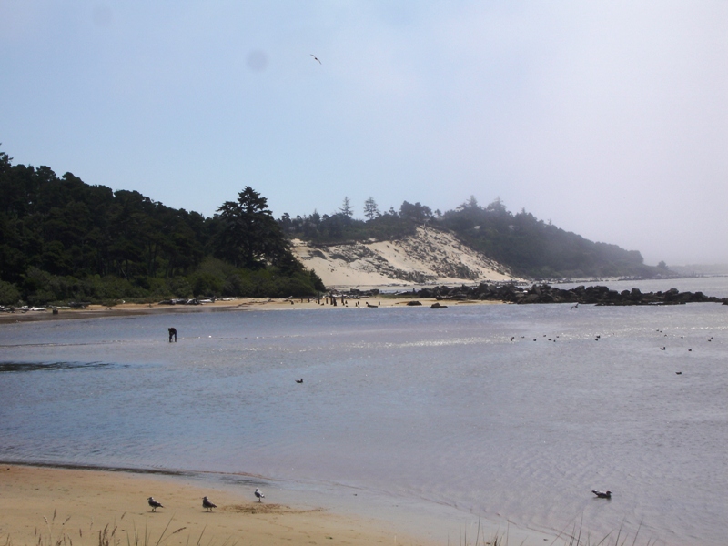 Heceta Beach 2