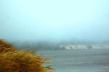 Heceta Beach 3