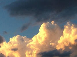 Golden Field of Clouds