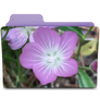 Tiny Flower Folder
