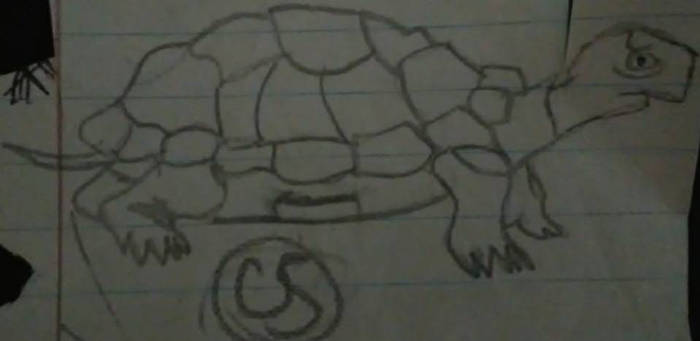 Turtle 