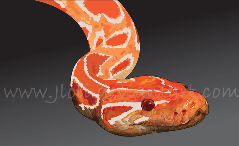 Burmese Python Vector by jloli on DeviantArt