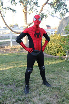 The Spectacular Spider-man Costume