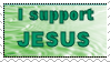 I Support Jesus by Amy-pink