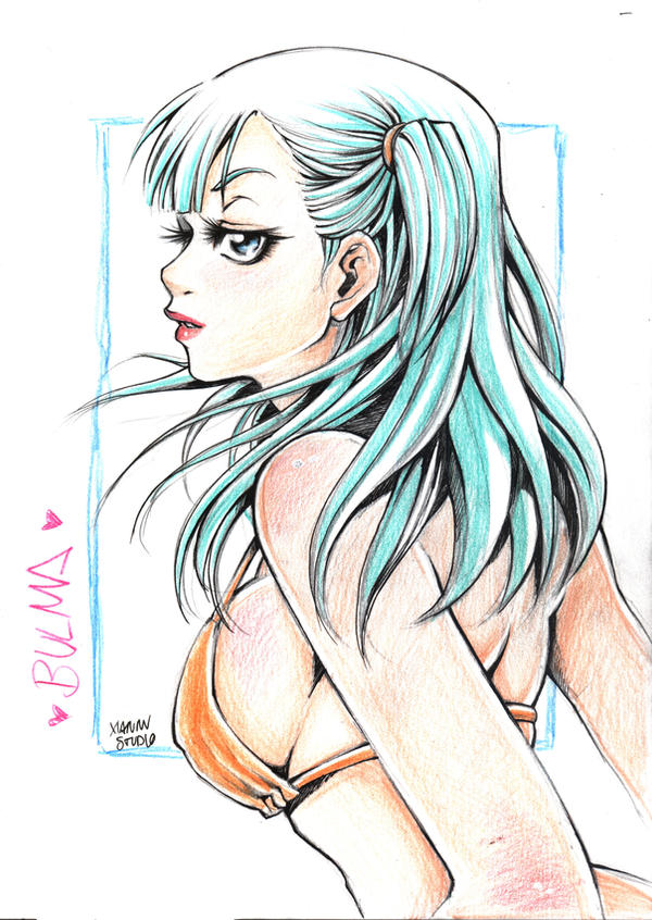 Fanart Bulma to KameHouse