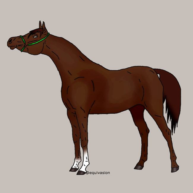 Alezan brûlé clearance