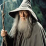 The Actor Max Von Sydow As Gandalf