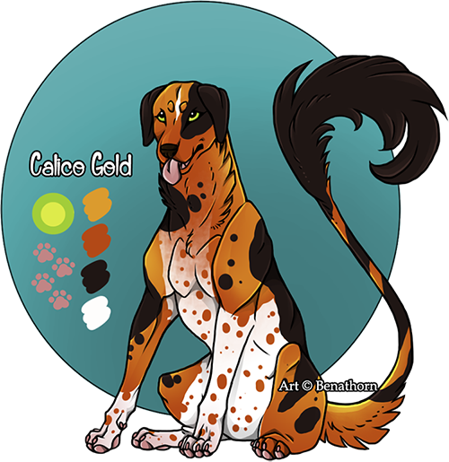 Domestic Jader- Calico Gold [Auction- CLOSED]