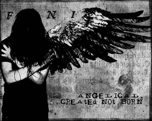 angelical - created not born