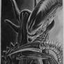 Xenomorph