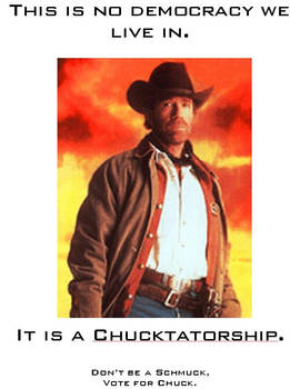 Vote Chuck Norris 5