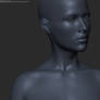 Zbrush portrait sculpting WIP 2