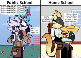 Difference between Public school and Home school