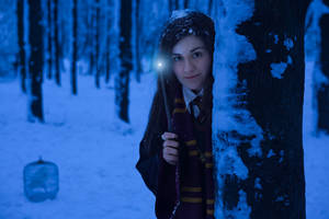 Harry Potter Cosplaygirl - night snowy forest