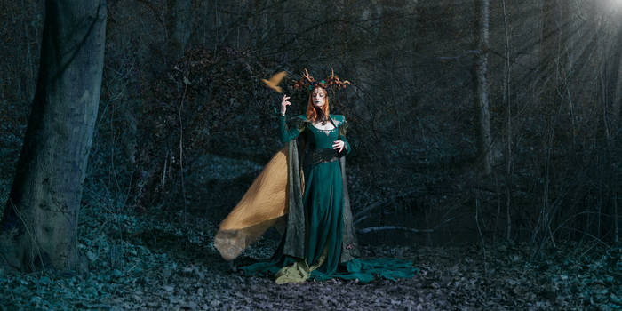 Queen of Elves by the forest and golden dove