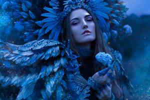 Lorelei Enchantress Experience