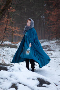 Blue Riding Hood - Renard des Poles