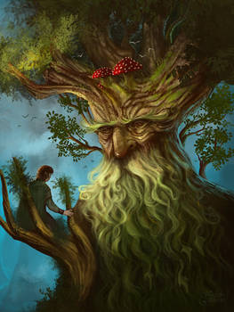 Tree Ents Deviantart Explore the Best Ent Art | DeviantArt