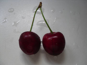 cherry stock 06