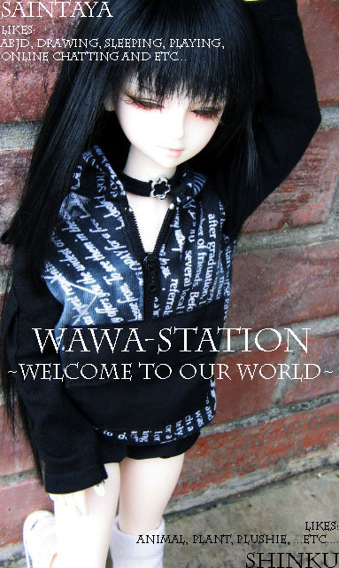 ::wawa's world::