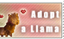 adopt a Llama