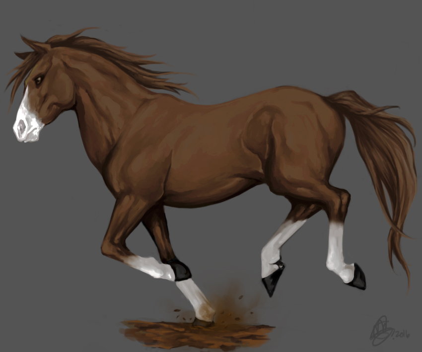 Horse concept