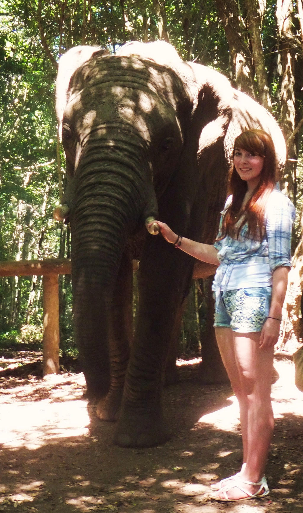 Me and the Elephant