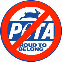 Peta Sign Only Rabbit Explore the Best Peta Art | DeviantArt