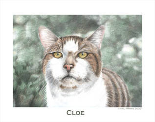 Cloe