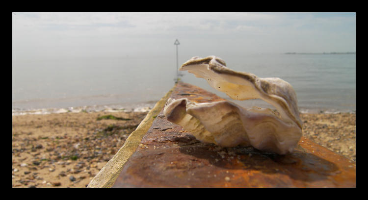 Rust Krakem Shell Shell on rust by non-entity on DeviantArt