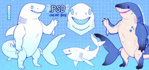 Shark Base .PSD
