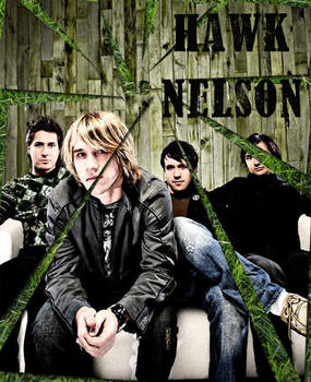 Hawk Nelson