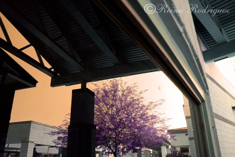 contra color by Halicore on DeviantArt