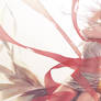 Carciphona - Toccata