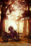 Autumn by shilin
