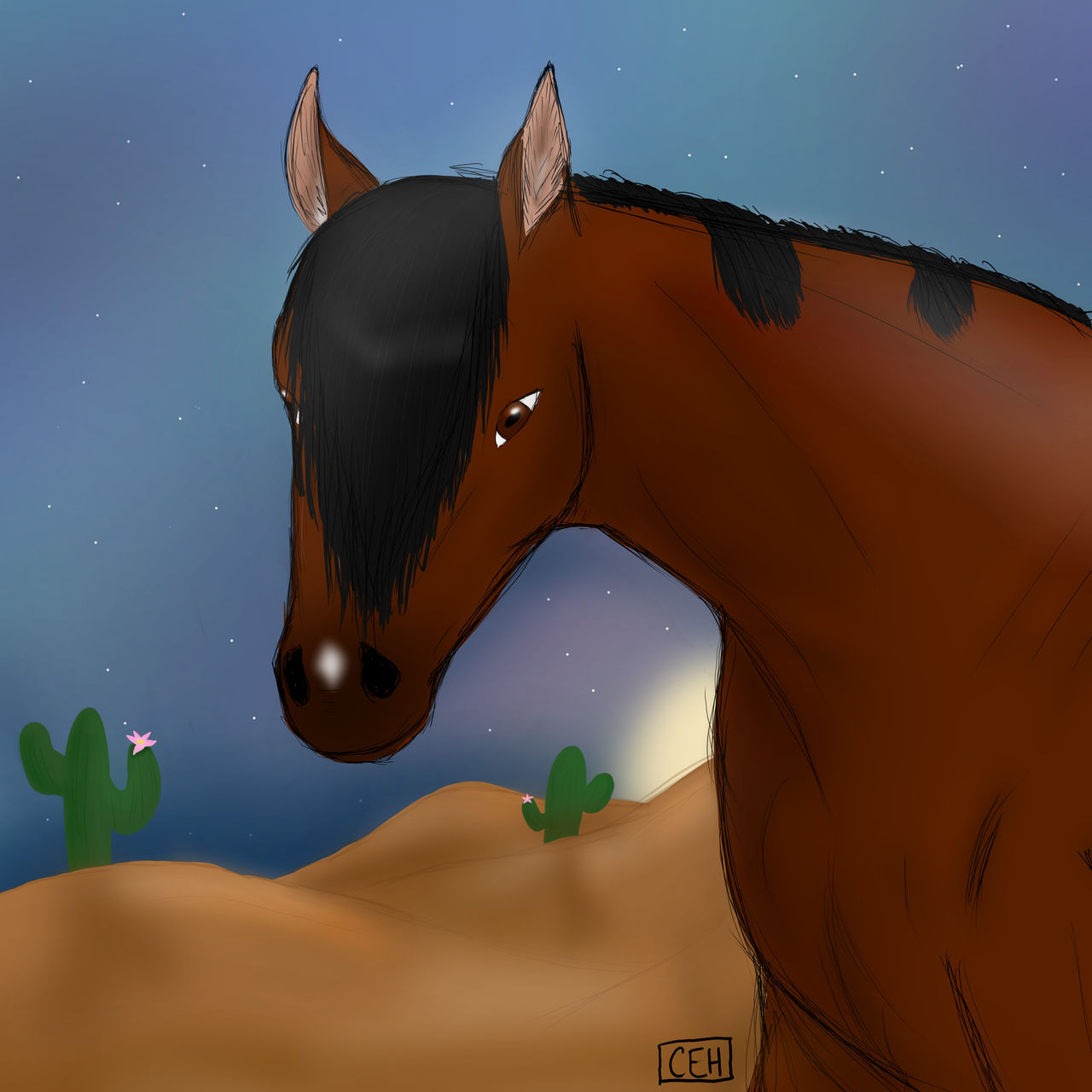 Desert Dreams