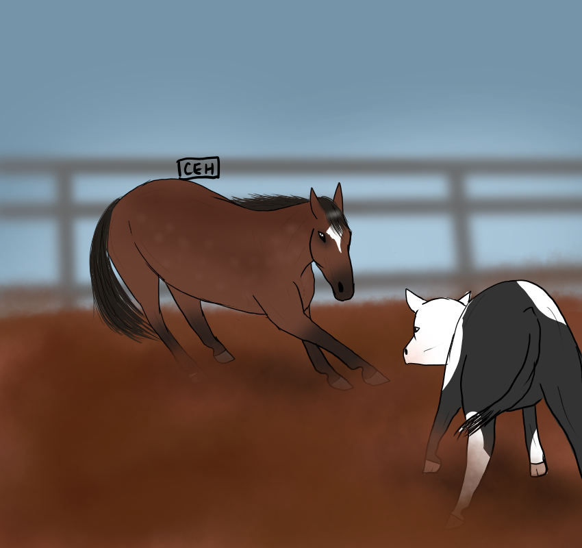 Payment 2/2 - Cattle Cutting