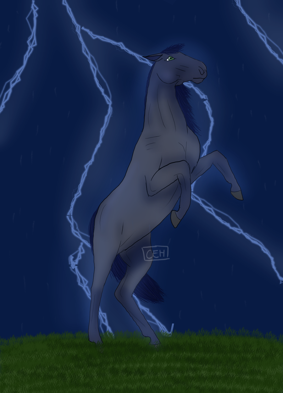 The Storm Chaser