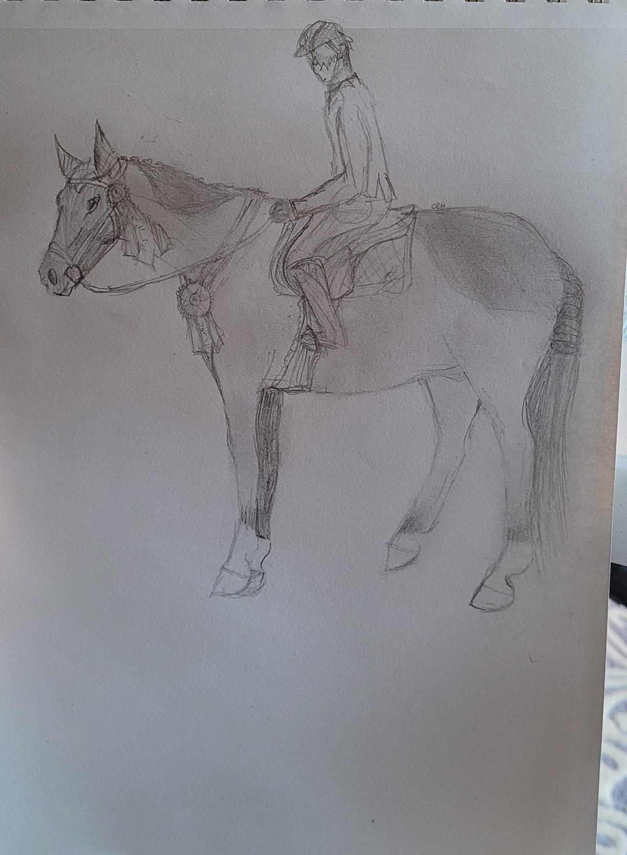 Prize Winner - sketch