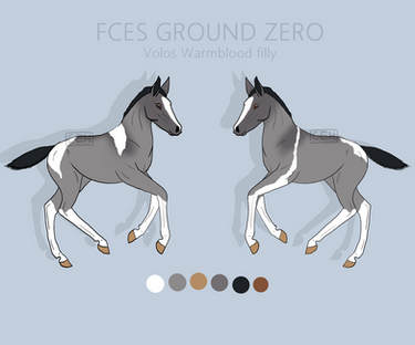 FCEs Ground Zero