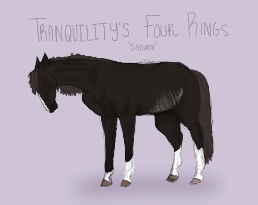 Tranquility's Four Rings
