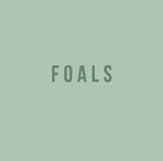 T-foals