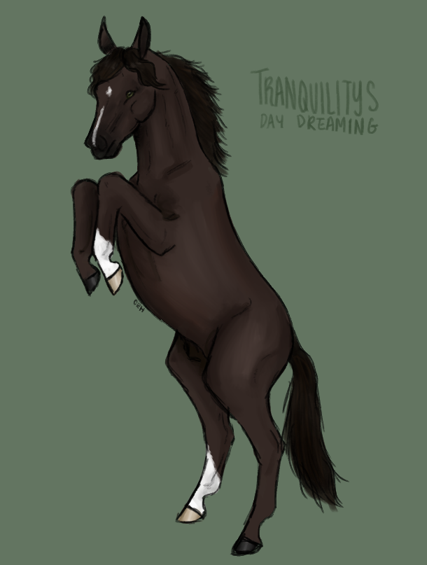 Tranquility's Daydreaming