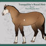 Tranquility's Royal Heir | AA