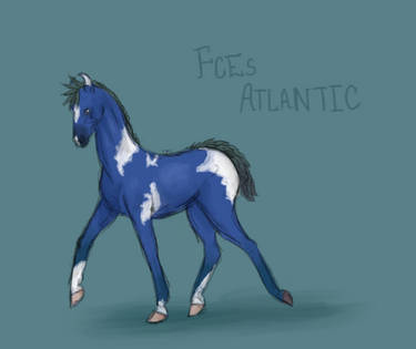 FCEs Atlantic