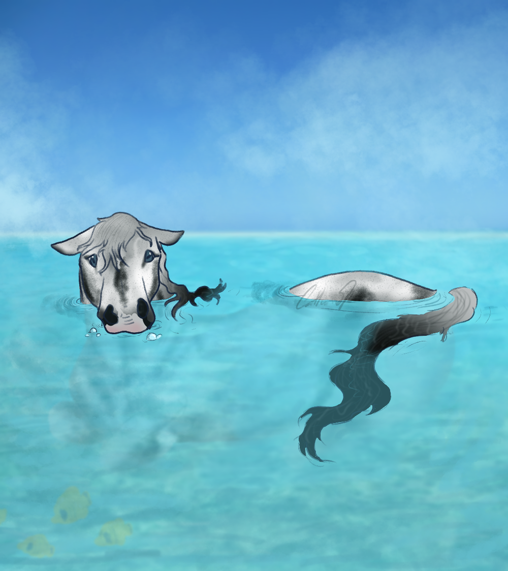 Get in the Water
