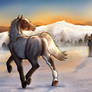 Solitude's Warmth | Ober Art 1
